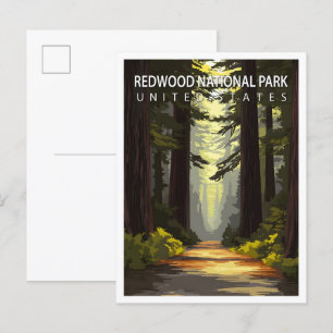 Schöner Ort Redwood National Park USA Reise Postkarte