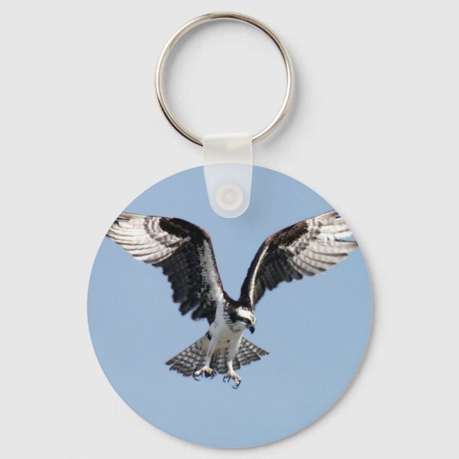Schöner Osprey Vogel Suche nach Beute Schlüsselanhänger (Vorderseite)
