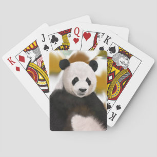 Schöner Panda Bär Abstrakter Hintergrund Spielkarten