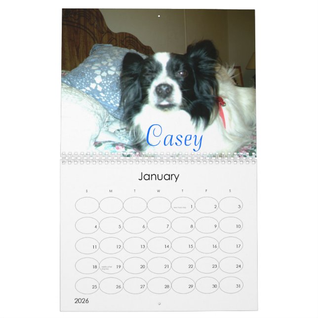 Schöner Papillons, 2007 Kalender (Jan 2026)