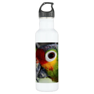 Schöner Parrot Trinkflasche