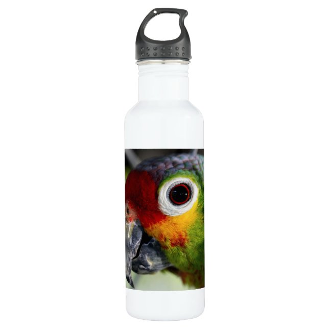 Schöner Parrot Trinkflasche (Vorderseite)