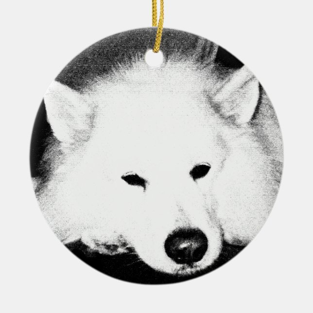 Schöner PelzSamoyedweißhund Keramikornament (Vorne)