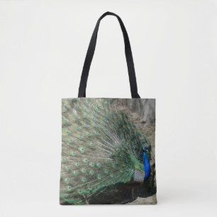 Schöner Pfau