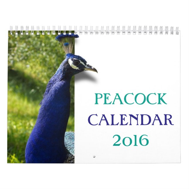 Schöner Pfau 2016 Kalender (Titelbild)