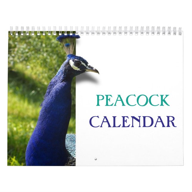 Schöner Pfau 2023 Kalender (Titelbild)