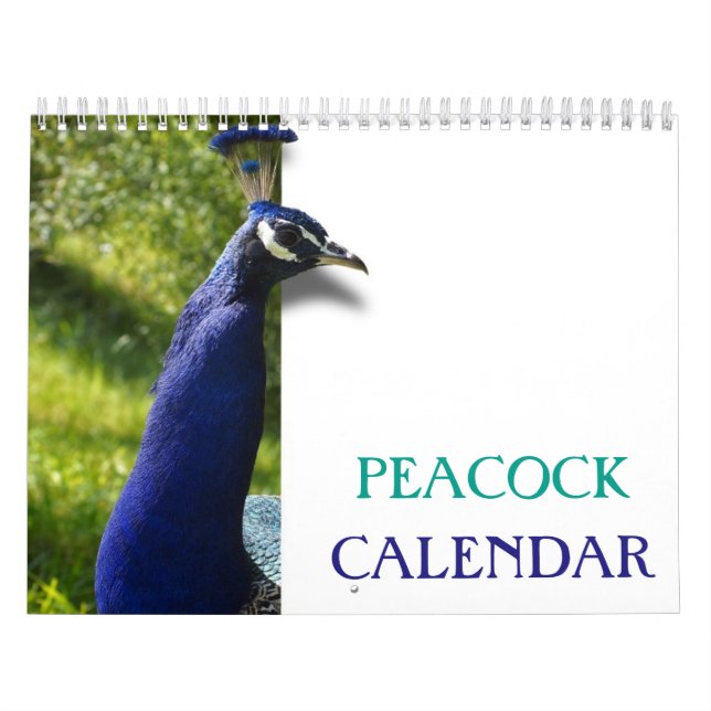 Schöner Pfau 2025 Kalender (Titelbild)