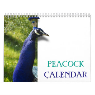 Schöner Pfau 2025 Kalender