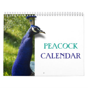 Schöner Pfau 2027 Kalender
