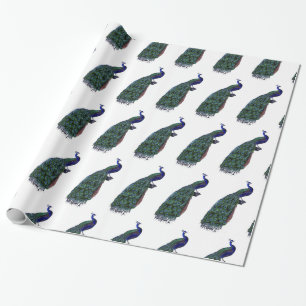 Schöner Pfau Geschenkpapier