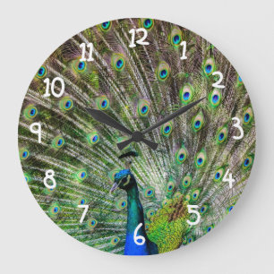 Schöner Pfau Große Wanduhr