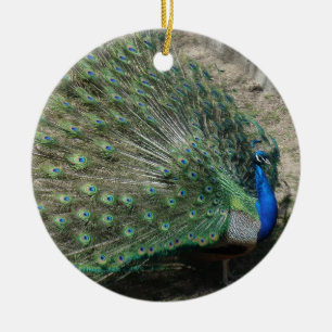 Schöner Pfau Keramikornament