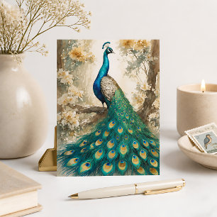 Schöner Pfau Postkarte