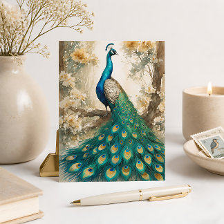 Schöner Pfau Postkarte