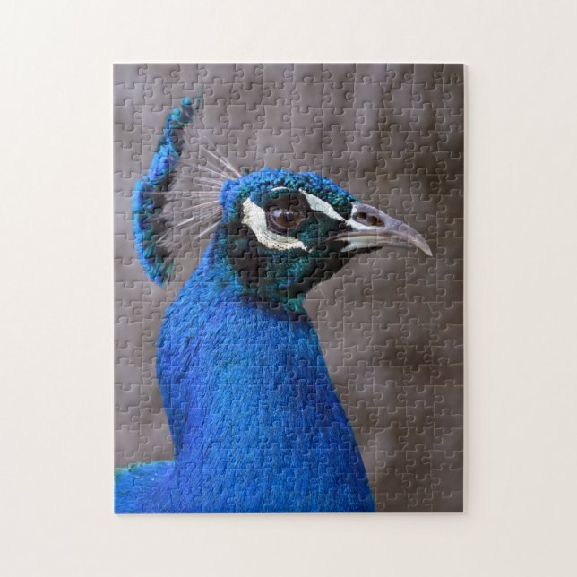 Schöner Pfau Puzzle (Vertikal)