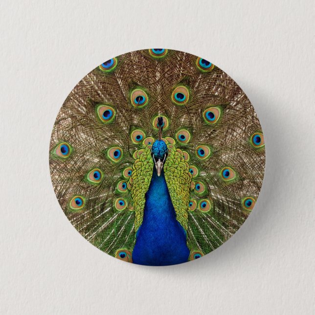 Schöner Pfau- und Schwanz-Federn drucken Button (Vorderseite)