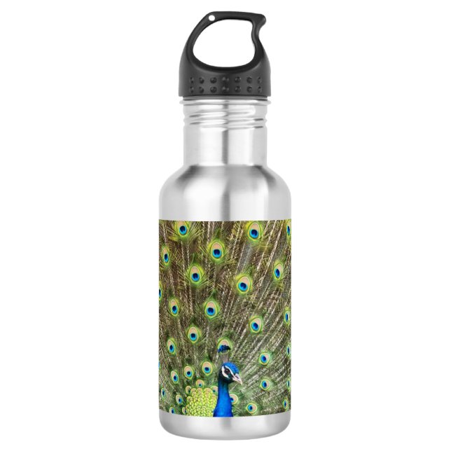 Schöner Pfauenvogel Edelstahlflasche (Vorderseite)