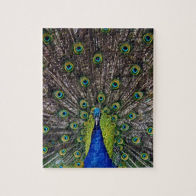 Schöner Pfauenvogel Puzzle (Vertikal)