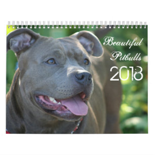 Schöner Pitbulls 2018 Hundekalender Kalender