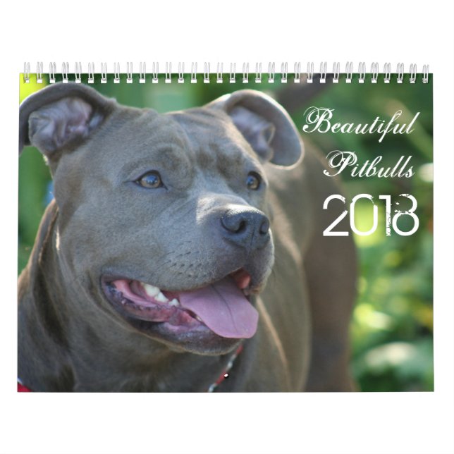 Schöner Pitbulls 2018 Hundekalender Kalender (Titelbild)