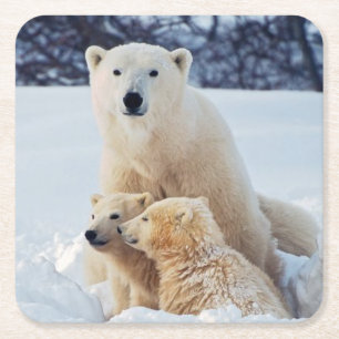 Schöner Polar Bär und ihre Naben Rechteckiger Pappuntersetzer