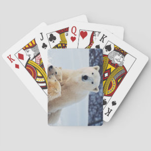 Schöner Polar Bär und ihre Naben Spielkarten