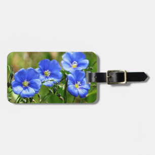 Schöner Pop der blauen Wildblumen gegen Grüngras Gepäckanhänger