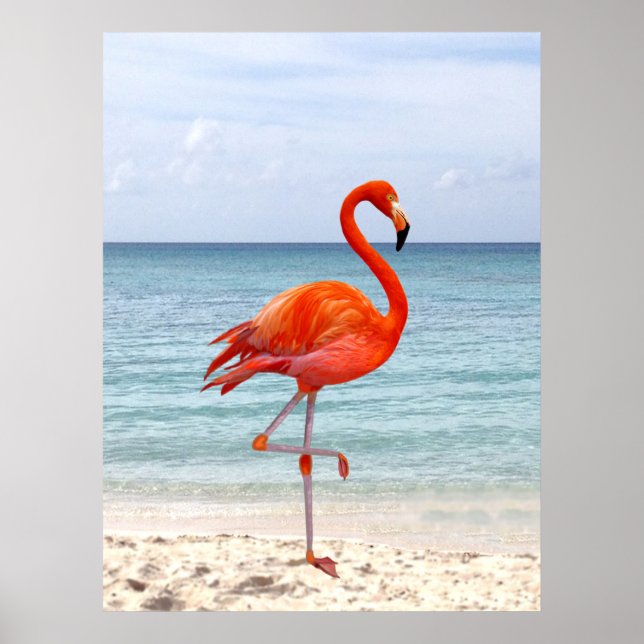 Schöner rosa Flamingo Bird am Strand Poster (Vorne)