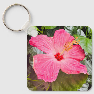 Schöner rosa Hibiskus Schlüsselanhänger