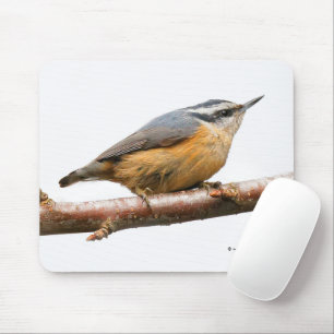 Schöner Rot-Breasted Nuthatch Songbird Mousepad