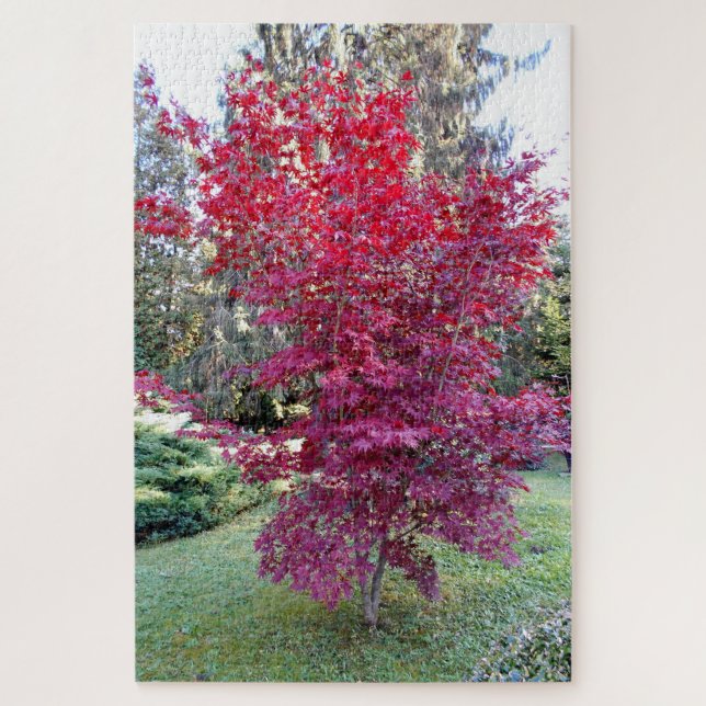 Schöner Rotahorn-Baum Puzzle (Vertikal)