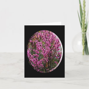 Schöner Roter Bud Baum..... Karte