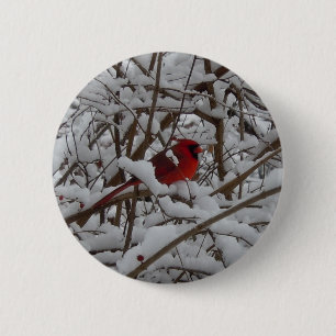Schöner Roter Kardinal im Schneeflocke Button