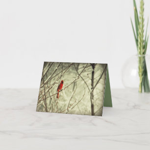 Schöner roter NordKardinals-Vogel Karte