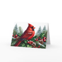 Schöner roter Winterkardinal Weihnachten