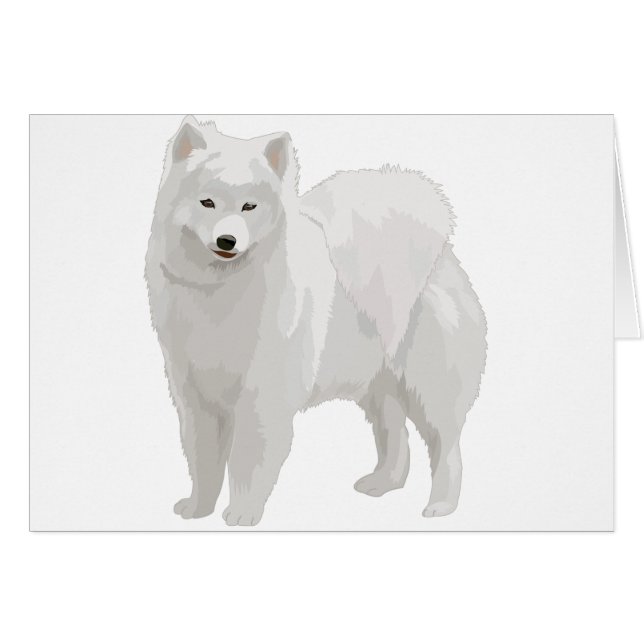 Schöner Samoyed (Vorderseite (Horizontal))