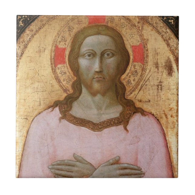 SCHÖNER SAVIER FLIESE (Vorderseite)