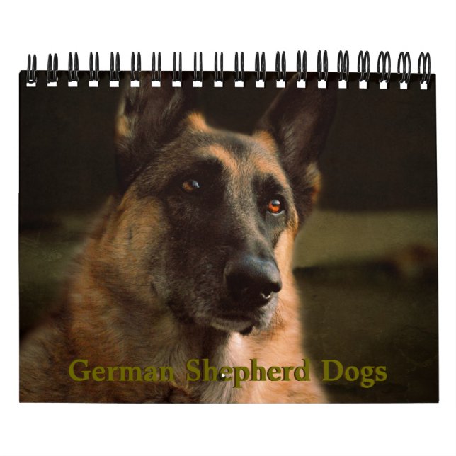Schöner Schäferhund-Hundekalender Kalender (Titelbild)