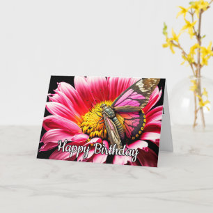 Schöner Schmetterling Alles Gute zum Geburtstag Karte