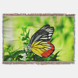 Schöner Schmetterling auf Blumen Decke