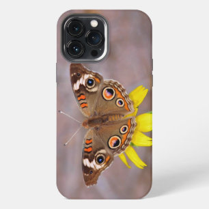 Schöner Schmetterling auf der Gelben Blume iPhone 13 Pro Max Hülle