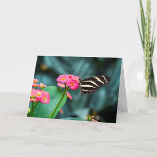 Schöner Schmetterling auf einer rosa Blume Karte