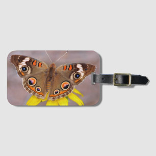 Schöner Schmetterling auf gelber Blume Gepäckanhänger