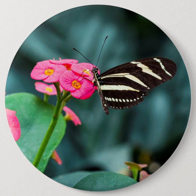 Schöner Schmetterling auf rosa Blume Button (Vorderseite)