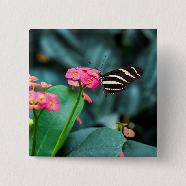 Schöner Schmetterling auf rosa Blume Button (Vorderseite)