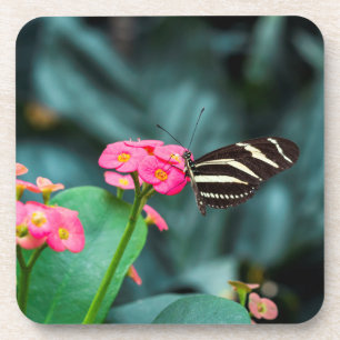 Schöner Schmetterling auf rosa Blume Getränkeuntersetzer