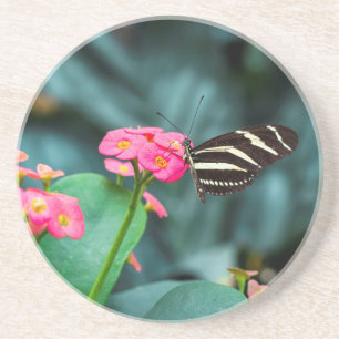Schöner Schmetterling auf rosa Blume Getränkeuntersetzer