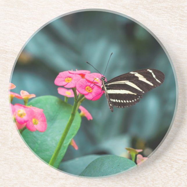 Schöner Schmetterling auf rosa Blume Getränkeuntersetzer (Vorne)