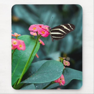 Schöner Schmetterling auf rosa Blume Mousepad