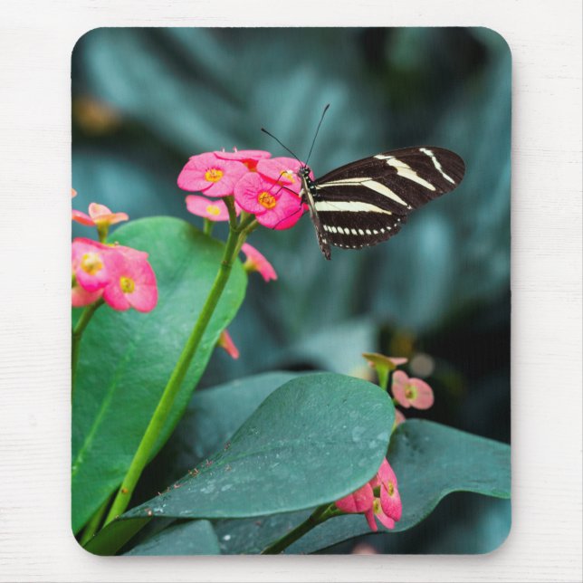 Schöner Schmetterling auf rosa Blume Mousepad (Vorne)